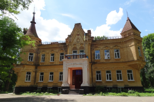 Дворец Терещенко, Турчиновка